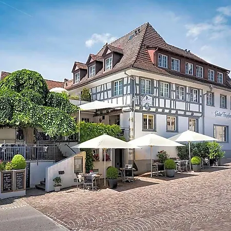 Bodenseehotel Renn Hotel